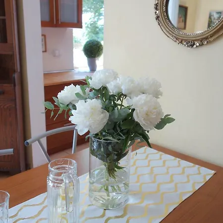 Silencio Apartament 600m Plaza 아파트 *